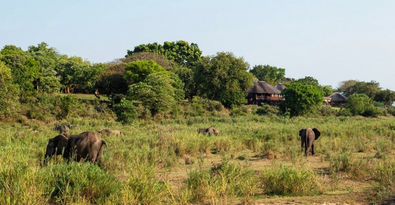 Elephant Walk Retreat - Self-Catering Kruger National Park Package (2