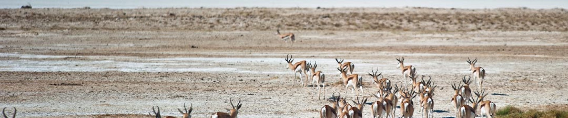 Etosha Village - Namibia Package ( 2 Nights)