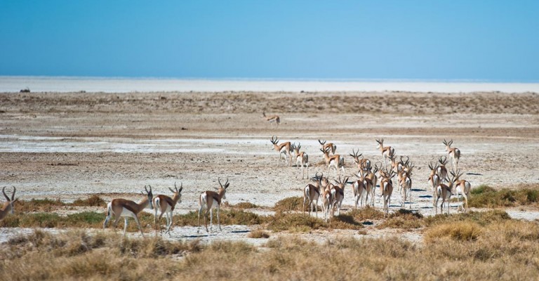 Etosha Village - Namibia Package ( 2 Nights)
