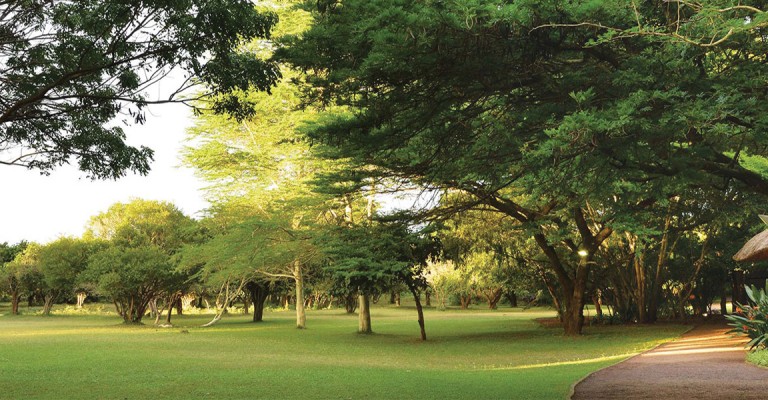 4* Falaza Game Park & Spa - KZN Hluhluwe Package (2 Nights)