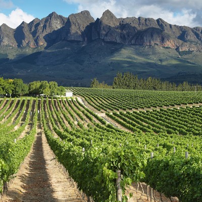 Cape Winelands