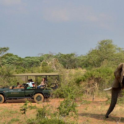 Game Drive