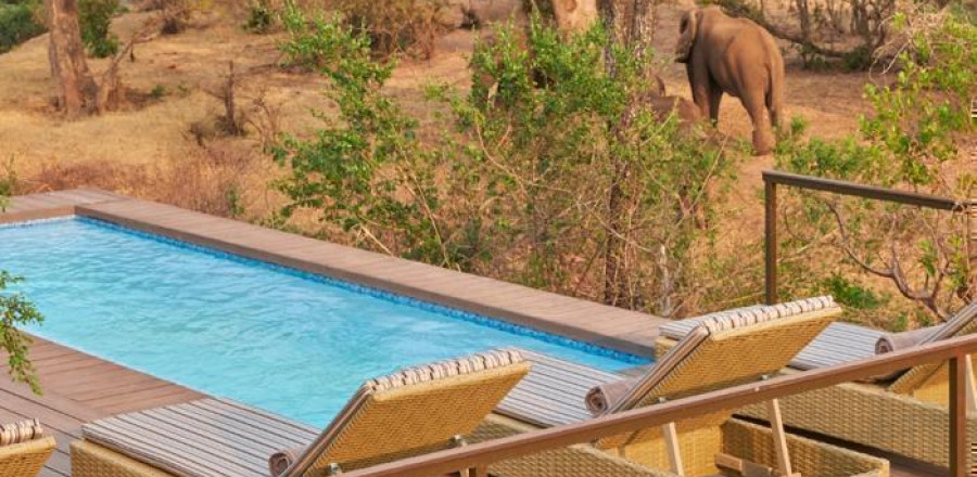 3* Superior The Wallow Lodge - Victoria Falls Package (3 Nights)