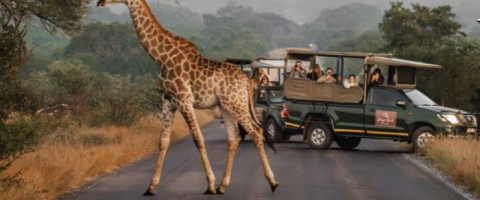 4* Kruger Gate Hotel - Kruger National Park Package (2 Nights)