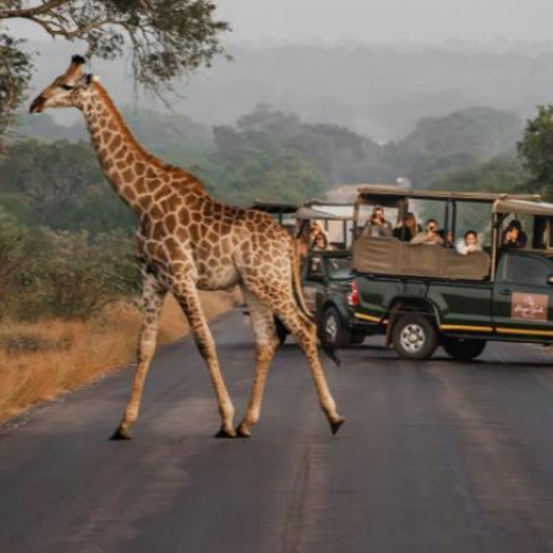 4* Kruger Gate Hotel - Kruger National Park Package (2 Nights)