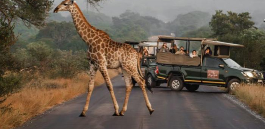 4* Kruger Gate Hotel - Kruger National Park Package (2 Nights)