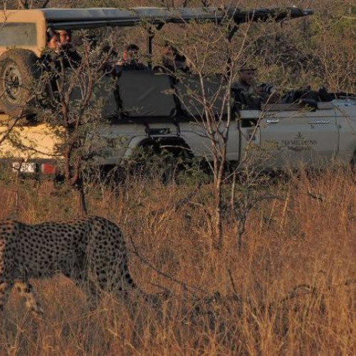 5* Hamiltons Tented Camp - Kruger National ParkPackage (2 Nights)