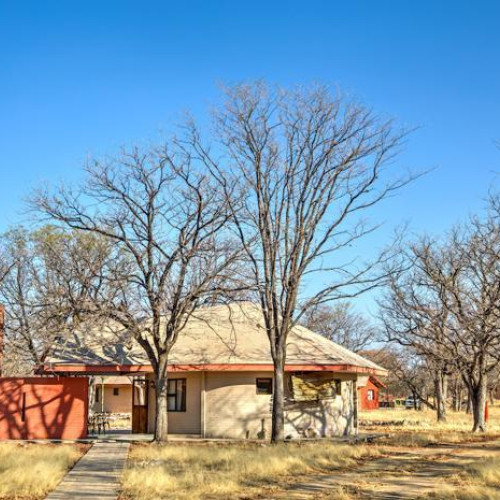 3* Halali Camp - Namibia Fly-In Package (4 Nights)