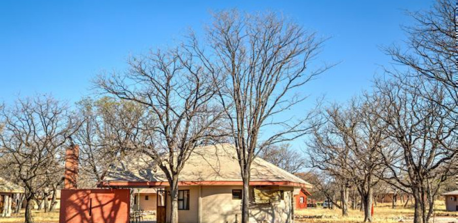 3* Halali Camp - Namibia Fly-In Package (4 Nights)
