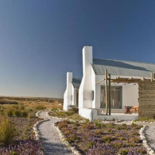 Strandloper Ocean Boutique Hotel and Bushmans Kloof - Western Cape Combo Package (4 nights)