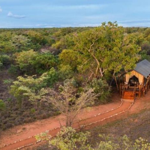 5* Kwafubesi Tented Safari Camp - Waterberg Packages (2 Nights)