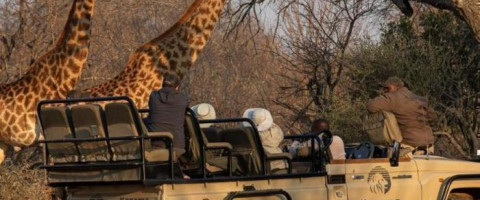 5* Kapama Private Game Reserve Buffalo Camp - Hoedspruit Package (2 Nights)