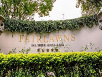 Photos