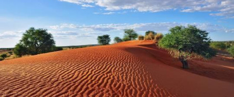Namib Desert Discovery Package (4 Nights)
