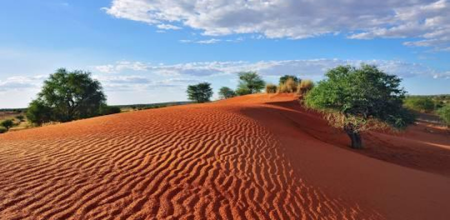 Namib Desert Discovery Package (4 Nights)
