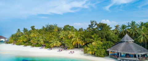 4* Ellaidhoo Maldives by Cinnamon -Maldives Package (7 Nights)