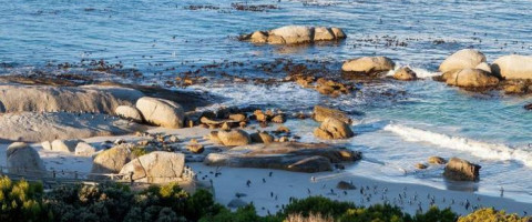 5* Tintswalo Boulders - Simon's Town Package