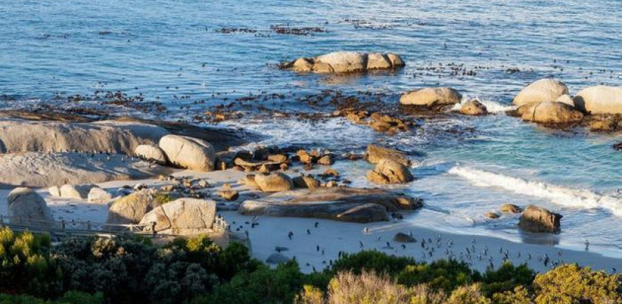 5* Tintswalo Boulders - Simon's Town Package
