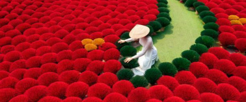 Northern Vietnam with Ninh Binh 8 Nights/8 Days