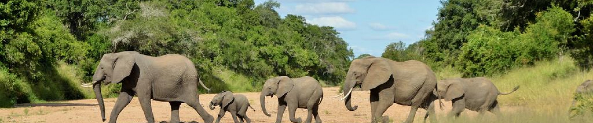 5* Imbali Safari Lodge - Kruger National Park Package (3 Nights)