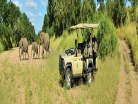 Imbali Safari Lodge Safari 3 1920x400