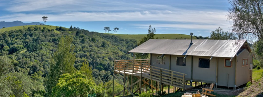 Africamps Ingwe