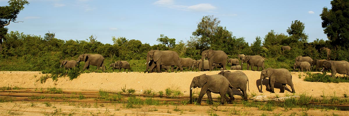 Kruger National Park