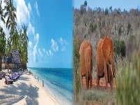 Malindi Beach and Tsavo Bush Experience 1 1920x600