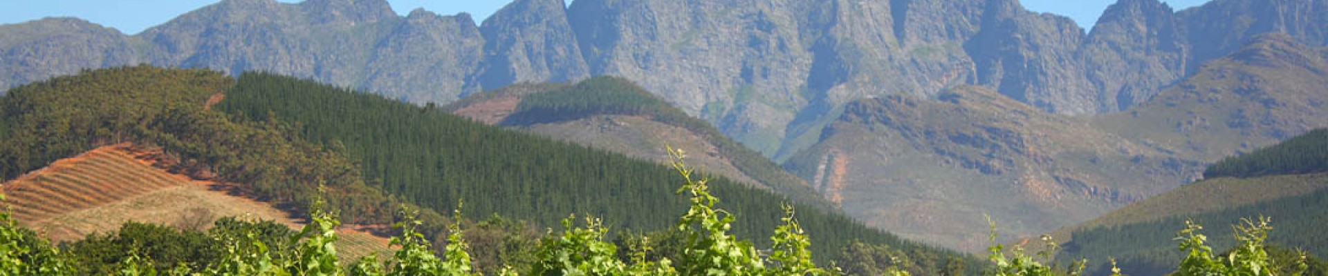 4* Montagu Country Hotel - Route 62 Package (2nights)