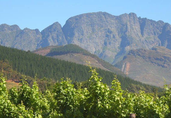 4* Montagu Country Hotel - Route 62 Package (2nights)