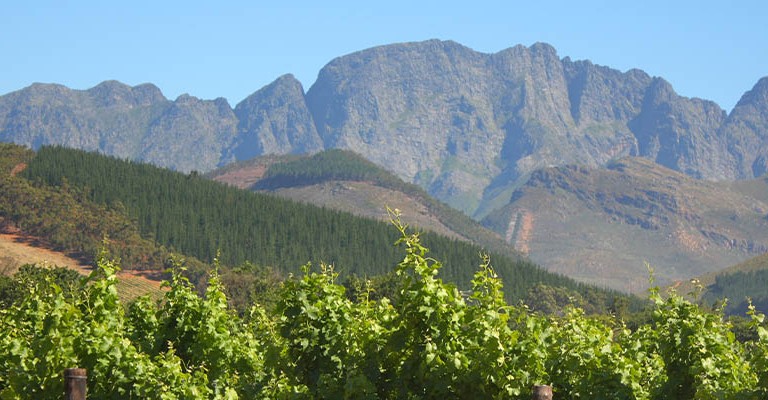 4* Montagu Country Hotel - Route 62 Package (2nights)