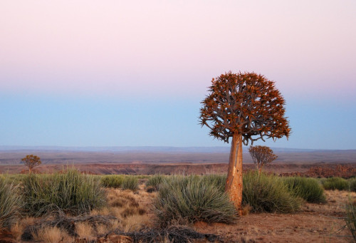 Northern Cape