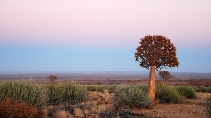 Northern Cape