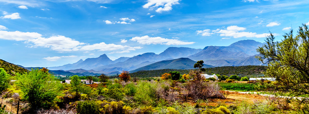Oudtshoorn