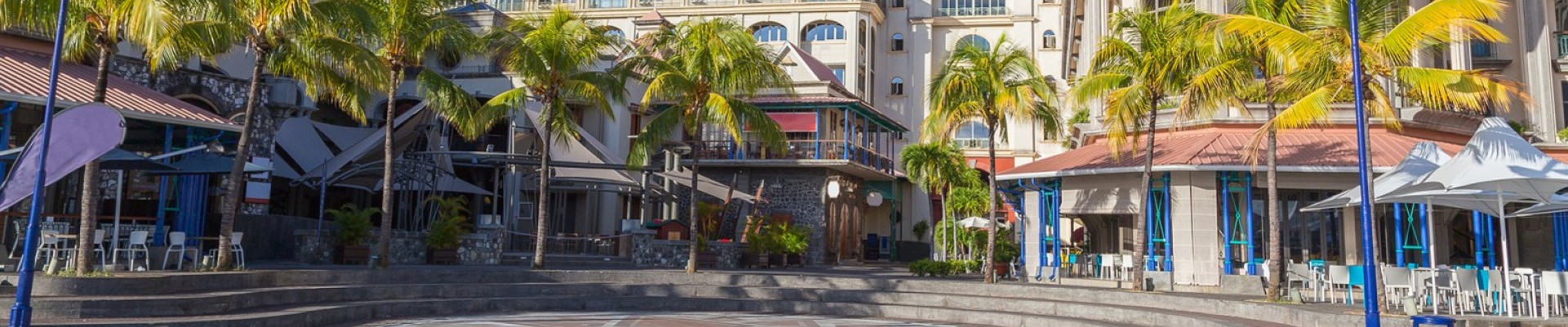 Special Half Day City Tour (Mauritius)