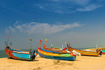 Images UDMS Thumbnails 1 600x300