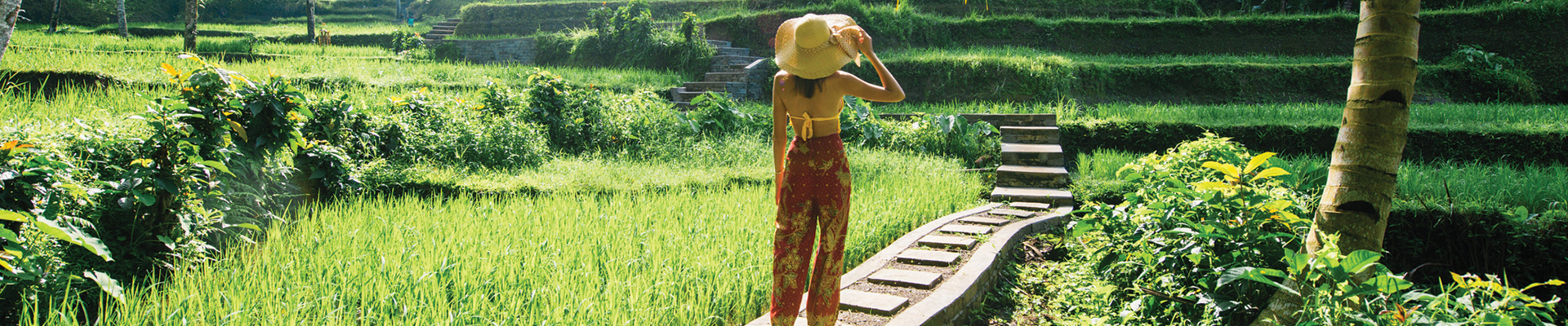 3* Nusa Dua, Ubud & Canggu - Bali Package (8 Nights)