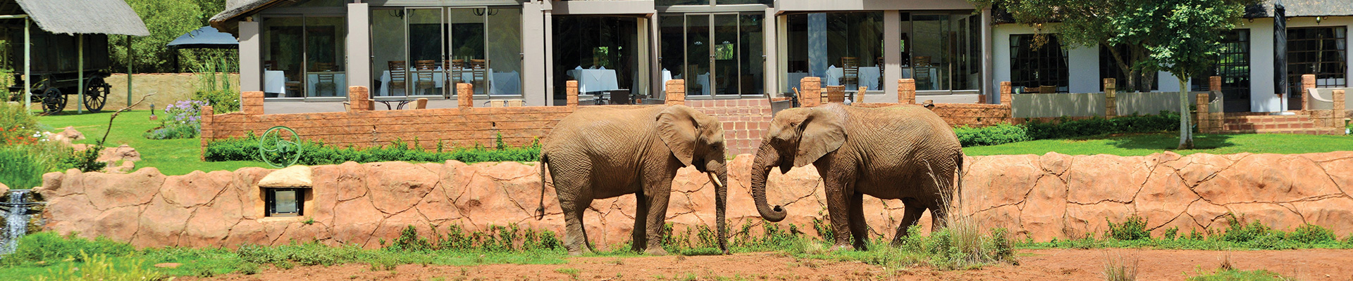 4* African Hills Safari Lodge & Spa - Magaliesburg Packages (2 Nights)