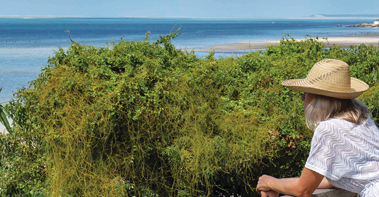 4* Bahia Mar Boutique Hotel- Mozambique Package (5 Nights)