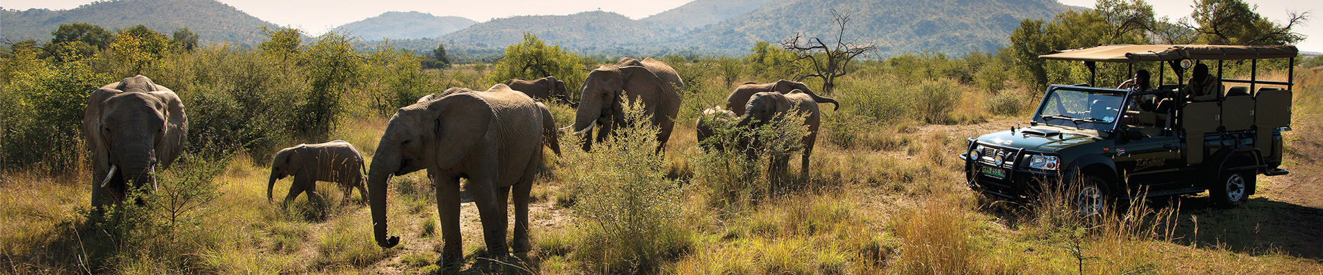 4* Bakubung Bush Lodge - Pilanesburg National ParkPackage (2 Nights)