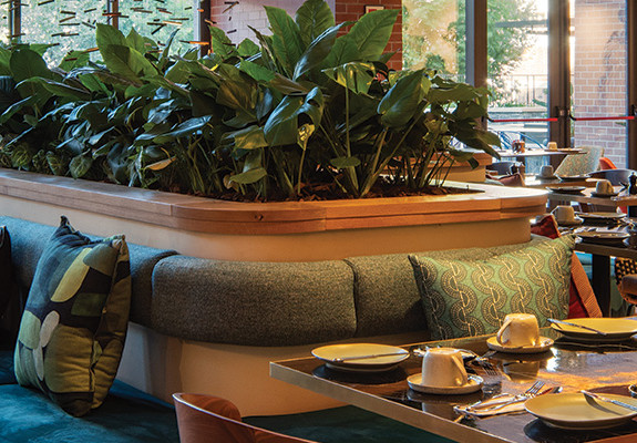 4* Canopy by Hilton Longkloof - Cape Town Package (2 Nights)