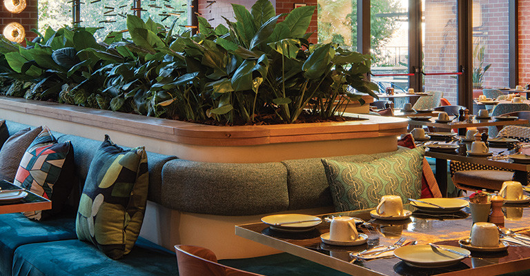 4* Canopy by Hilton Longkloof - Cape Town Package (2 Nights)