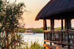 Chobe Sedudu Bar 600x300