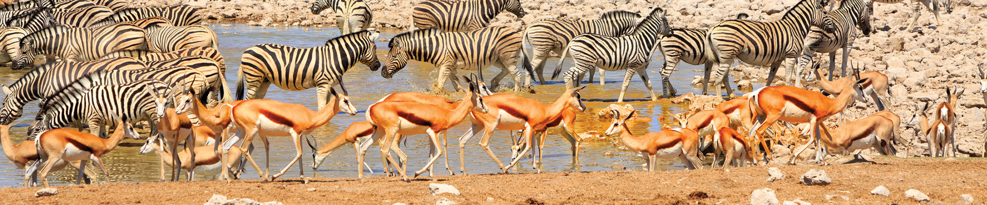 4* Etosha Village Fly-In Package (4 Nights)