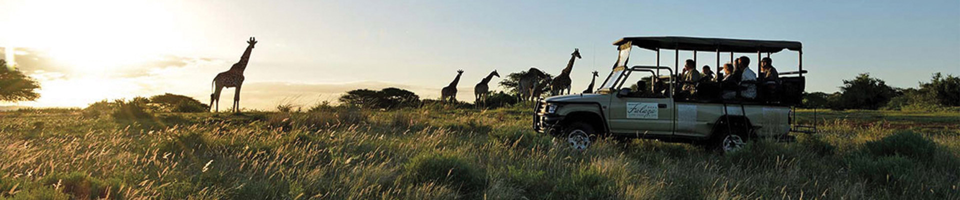 4* Falaza Game Park & Spa - Hluhluwe Fly-in Package (3 Nights)