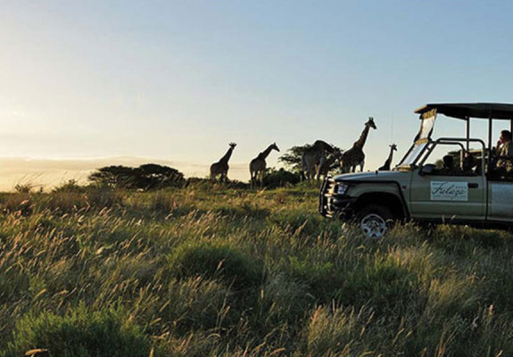 4* Falaza Game Park & Spa - Hluhluwe Fly-in Package (3 Nights)