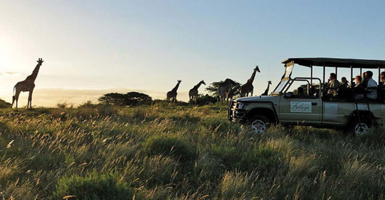 4* Falaza Game Park & Spa - Hluhluwe Fly-in Package (3 Nights)