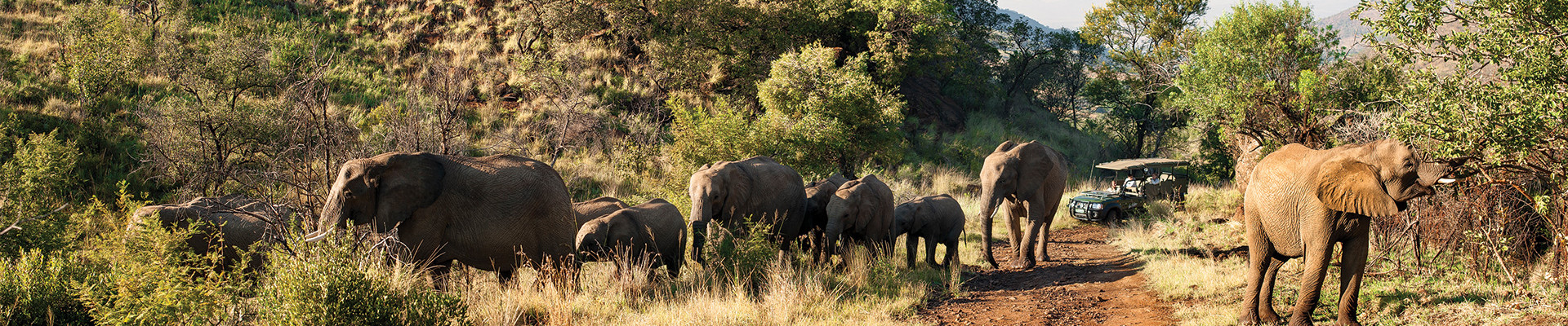 4* Kwa Maritane Bush Lodge - Pilanesberg National Park Family Package (2 Nights)