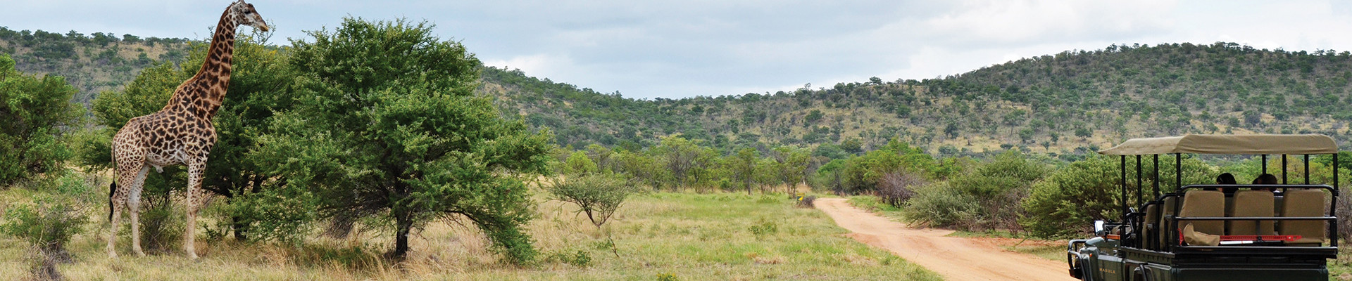 4* Mabula Game Lodge - Waterberg Package (2 Nights)