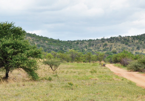 4* Mabula Game Lodge - Waterberg Package (2 Nights)